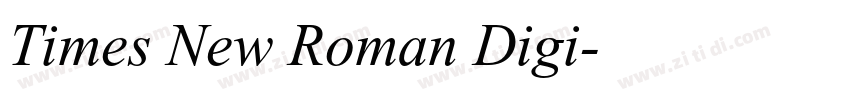 Times New Roman Digi字体转换